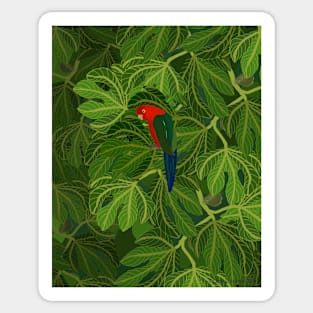 Fig Tree Parrot Sticker